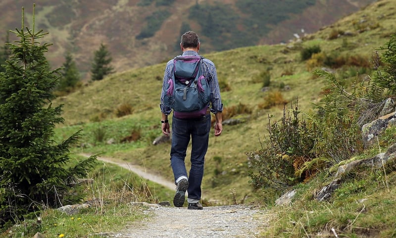 Hiking Backpack