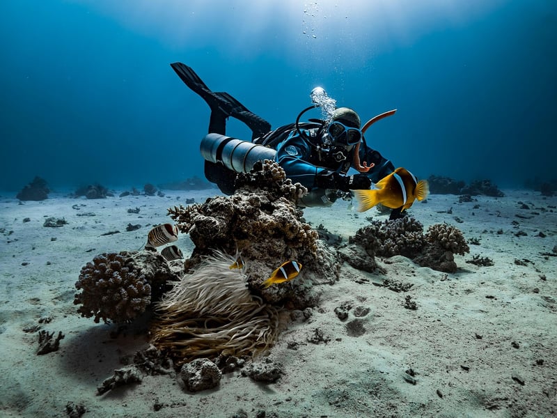 Dive Mask and Snorkel
